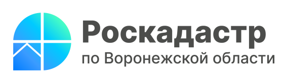 ПРЕСС-СЛУЖБА ФИЛИАЛА ППК «РОСКАДАСТР» ПО ВОРОНЕЖСКОЙ ОБЛАСТИ. ПРЕСС-СЛУЖБА ФИЛИАЛА ППК «РОСКАДАСТР» ПО ВОРОНЕЖСКОЙ ОБЛАСТИ.